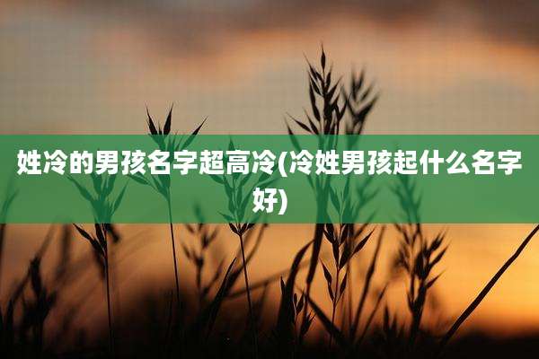 姓冷的男孩名字超高冷(冷姓男孩起什么名字好)