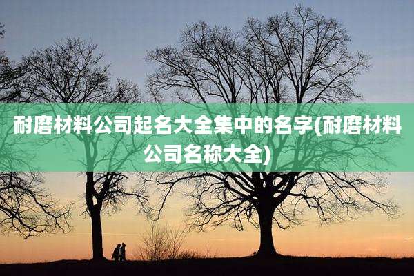 耐磨材料公司起名大全集中的名字(耐磨材料公司名称大全)