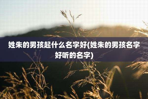 姓朱的男孩起什么名字好(姓朱的男孩名字好听的名字)