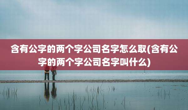 含有公字的两个字公司名字怎么取(含有公字的两个字公司名字叫什么)