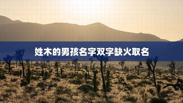 姓木的男孩名字双字缺火取名