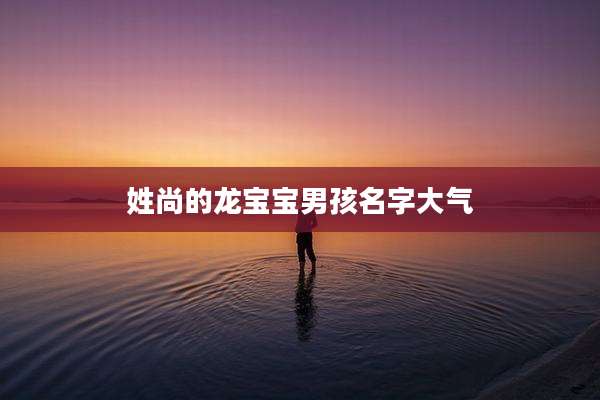 姓尚的龙宝宝男孩名字大气