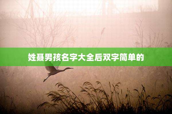 姓聂男孩名字大全后双字简单的