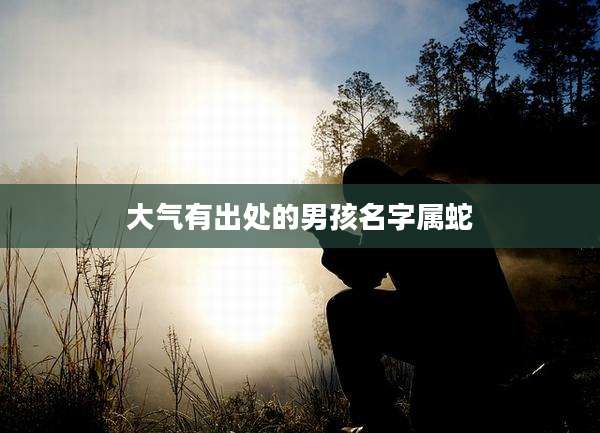 大气有出处的男孩名字属蛇