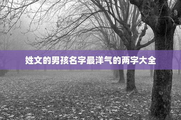 姓文的男孩名字最洋气的两字大全