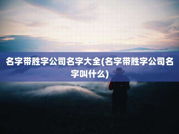 名字带胜字公司名字大全(名字带胜字公司名字叫什么)