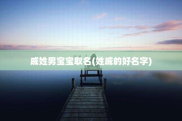 戚姓男宝宝取名(姓戚的好名字)