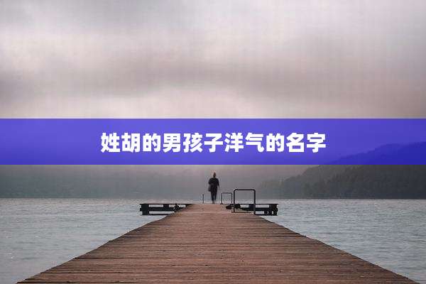 姓胡的男孩子洋气的名字