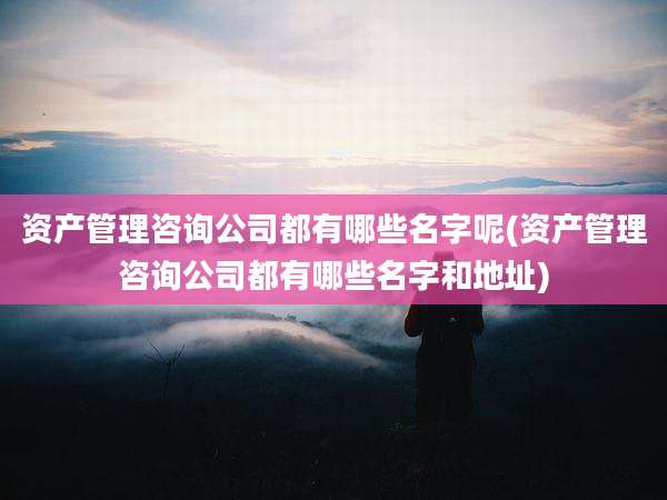 资产管理咨询公司都有哪些名字呢(资产管理咨询公司都有哪些名字和地址)