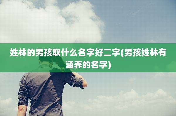 姓林的男孩取什么名字好二字(男孩姓林有涵养的名字)