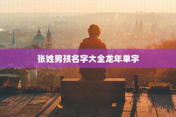 张姓男孩名字大全龙年单字