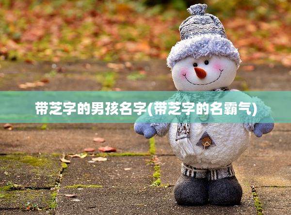 带芝字的男孩名字(带芝字的名霸气)
