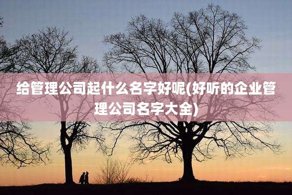 给管理公司起什么名字好呢(好听的企业管理公司名字大全)