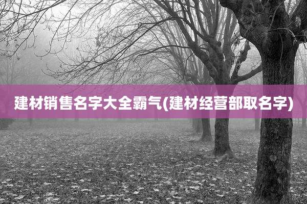 建材销售名字大全霸气(建材经营部取名字)