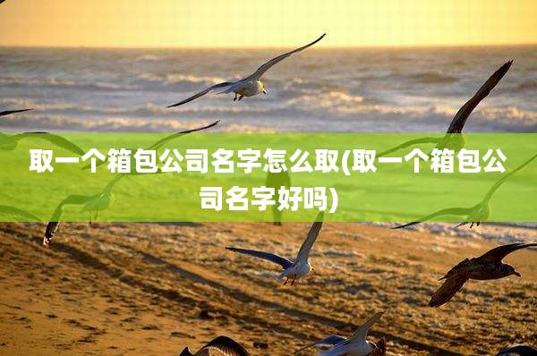 取一个箱包公司名字怎么取(取一个箱包公司名字好吗)
