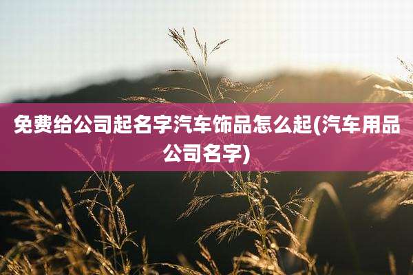 免费给公司起名字汽车饰品怎么起(汽车用品公司名字)