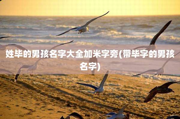 姓毕的男孩名字大全加米字旁(带毕字的男孩名字)