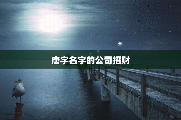 唐字名字的公司招财