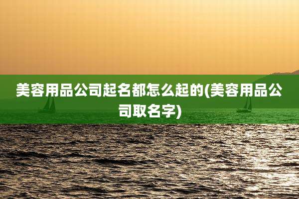 美容用品公司起名都怎么起的(美容用品公司取名字)