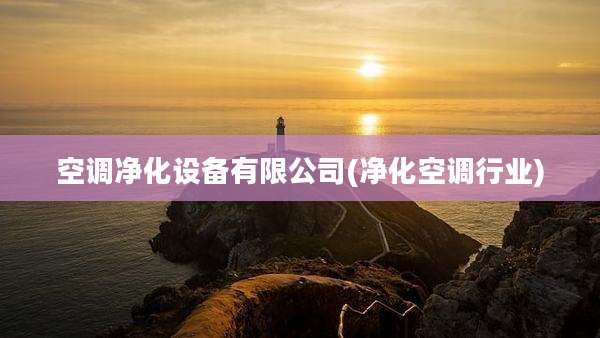 空调净化设备有限公司(净化空调行业)