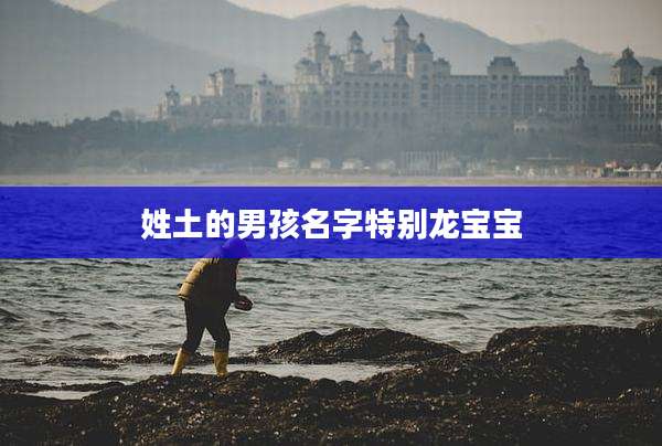 姓土的男孩名字特别龙宝宝