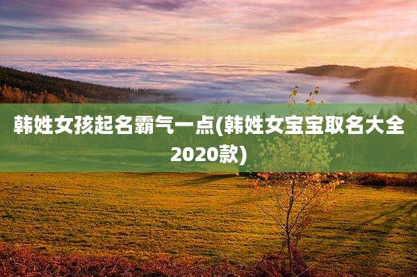 韩姓女孩起名霸气一点(韩姓女宝宝取名大全2020款)
