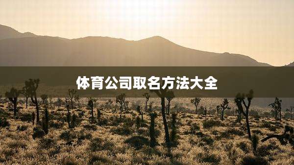 体育公司取名方法大全