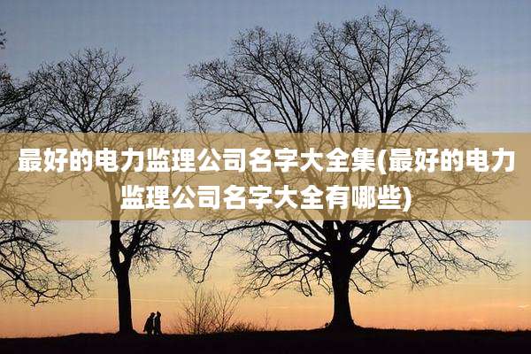 最好的电力监理公司名字大全集(最好的电力监理公司名字大全有哪些)