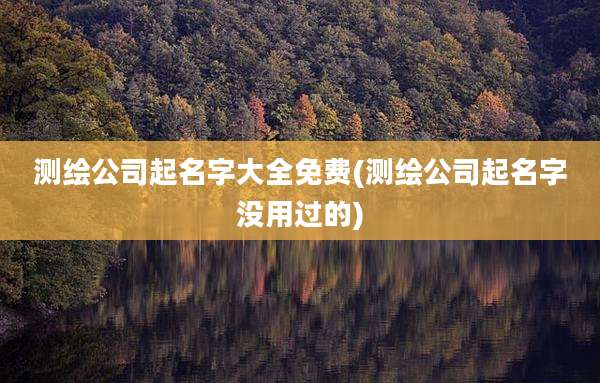 测绘公司起名字大全免费(测绘公司起名字没用过的)