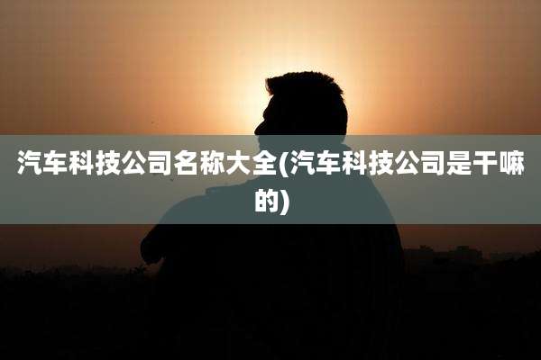 汽车科技公司名称大全(汽车科技公司是干嘛的)