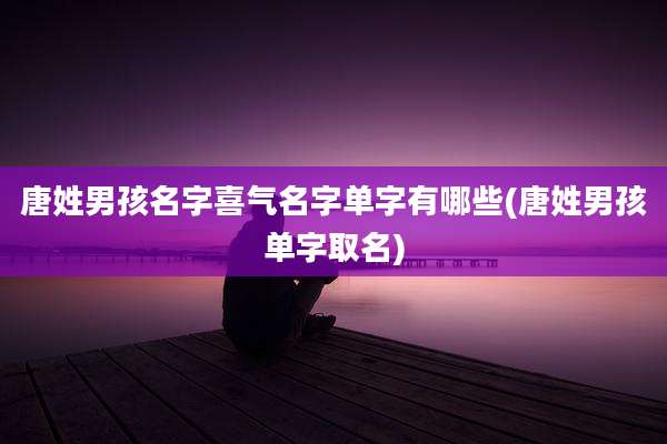 唐姓男孩名字喜气名字单字有哪些(唐姓男孩单字取名)
