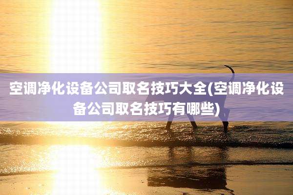 空调净化设备公司取名技巧大全(空调净化设备公司取名技巧有哪些)