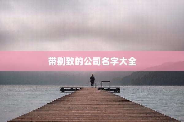 带别致的公司名字大全