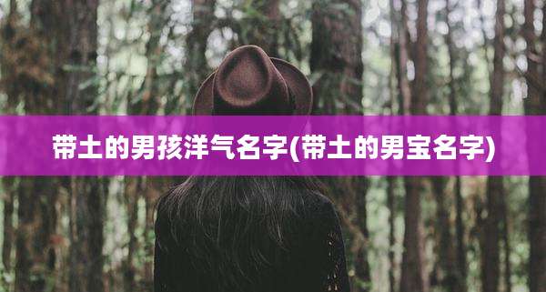 带土的男孩洋气名字(带土的男宝名字)