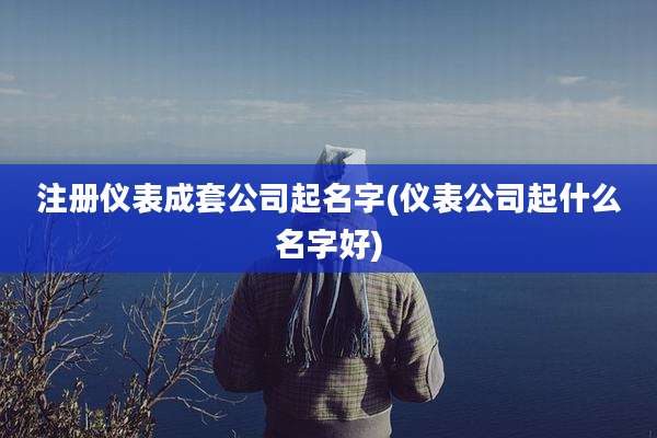 注册仪表成套公司起名字(仪表公司起什么名字好)