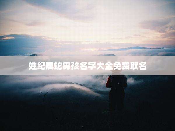 姓纪属蛇男孩名字大全免费取名