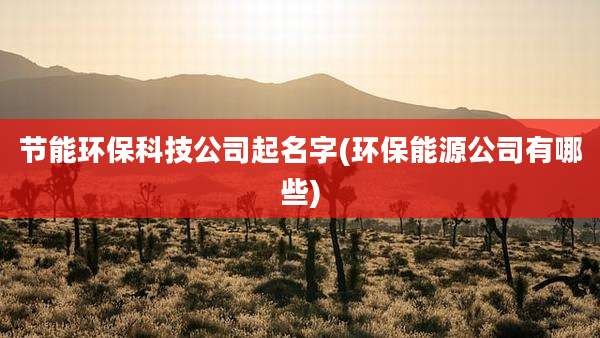 节能环保科技公司起名字(环保能源公司有哪些)
