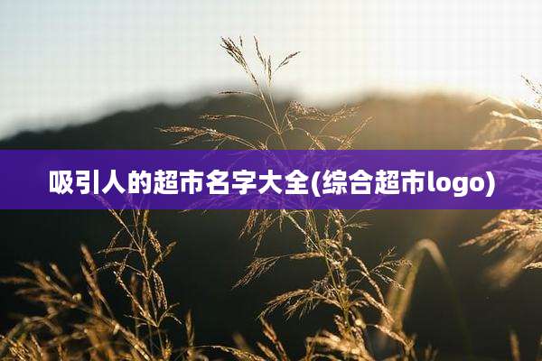 吸引人的超市名字大全(综合超市logo)