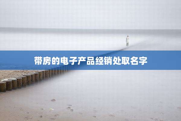 带房的电子产品经销处取名字