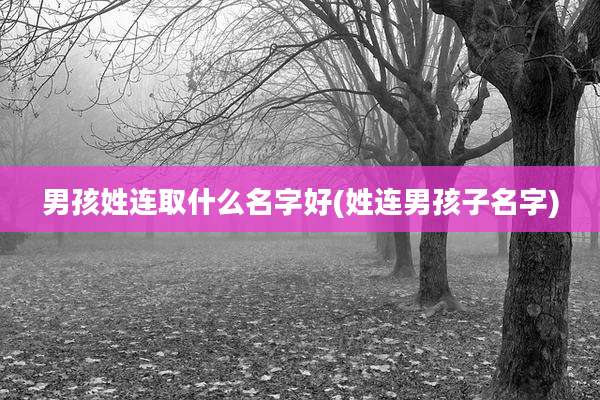 男孩姓连取什么名字好(姓连男孩子名字)