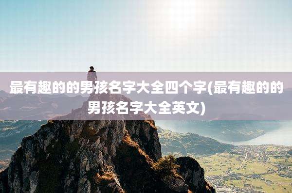 最有趣的的男孩名字大全四个字(最有趣的的男孩名字大全英文)