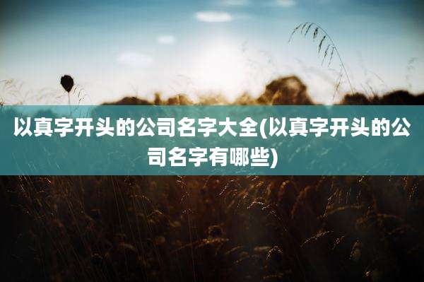 以真字开头的公司名字大全(以真字开头的公司名字有哪些)