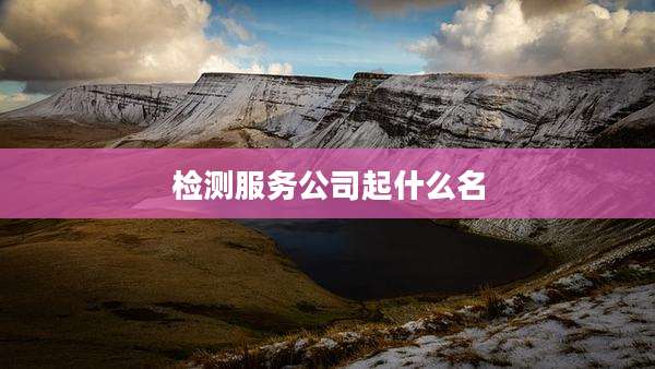 检测服务公司起什么名