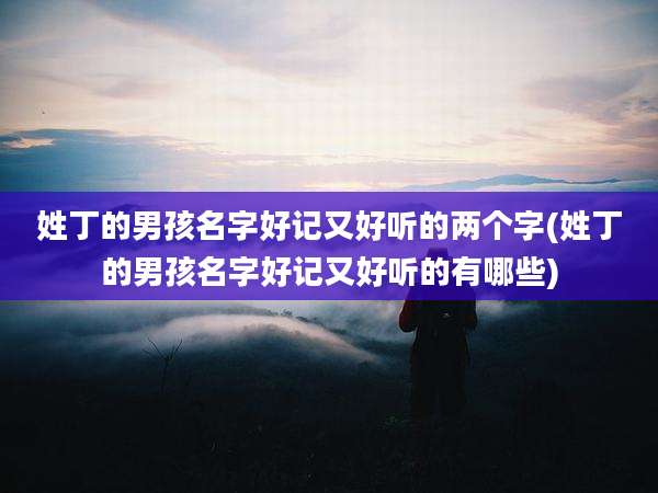 姓丁的男孩名字好记又好听的两个字(姓丁的男孩名字好记又好听的有哪些)