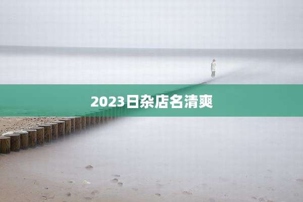 2023日杂店名清爽