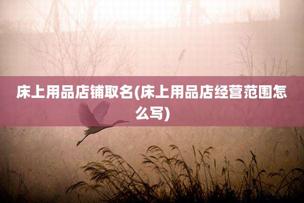 床上用品店铺取名(床上用品店经营范围怎么写)
