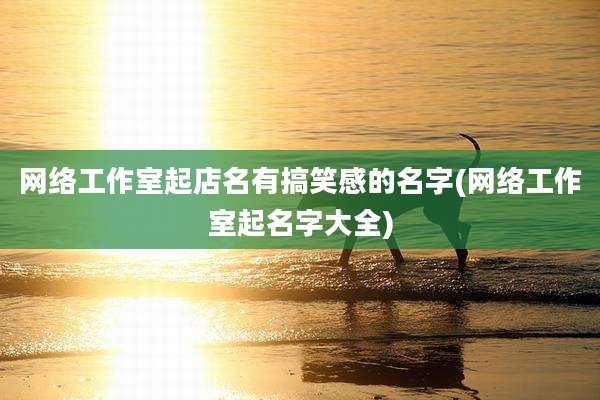 网络工作室起店名有搞笑感的名字(网络工作室起名字大全)
