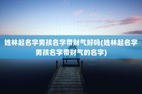 姓林起名字男孩名字带财气好吗(姓林起名字男孩名字带财气的名字)