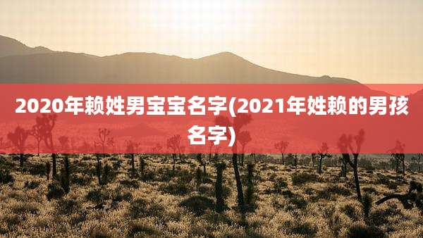 2020年赖姓男宝宝名字(2021年姓赖的男孩名字)
