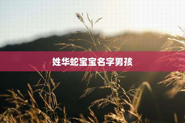 姓华蛇宝宝名字男孩